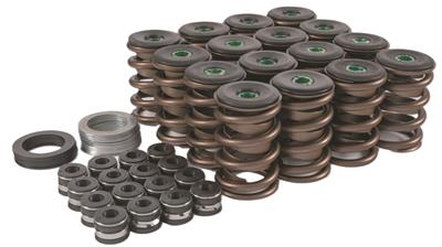 Trick Flow® Valve Spring Upgrade Kits - TFS-2500100