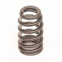 Trick Flow® Track Max® Pacaloy Valve Springs