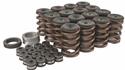 Trick Flow® Valve Spring Upgrade Kits - TFS-2500100