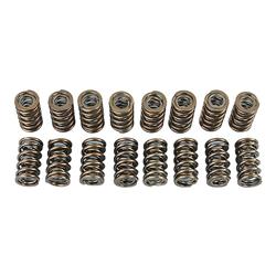 Trick Flow® by PAC Racing Dual Valve Springs TFS-16208-16