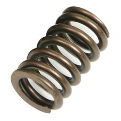 Trick Flow® by PAC Racing Beehive Valve Springs TFS-16213-1