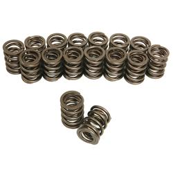 Trick Flow® by PAC Racing Dual Valve Springs TFS-16838-16