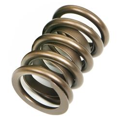 Trick Flow® by PAC Racing Single Valve Springs TFS-16846-1