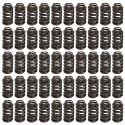 Trick Flow® by PAC Racing Dual Valve Springs TFS-16893-50