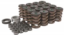 Trick Flow Specialties TFS-2500100 Trick Flow® Valve Spring