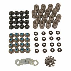 Trick Flow® Valve Spring Upgrade Kits for Ford 4.6L/5.4L 2V Engines TFS-2500525