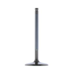 Trick Flow® Replacement Valves TFS-30600211-1