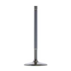 Trick Flow® Replacement Valves TFS-52500215