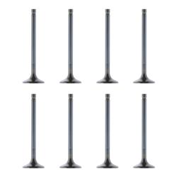 Trick Flow® Replacement Valves TFS-61400212