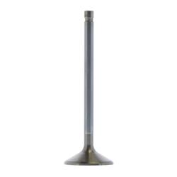 Trick Flow® Replacement Valves TFS-61600212-1