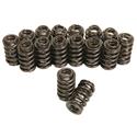 Click here for more information about Trick Flow Specialties TFS-16893-16 - Trick Flow® by PAC Racing Dual Valve Springs