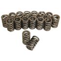 Click here for more information about Trick Flow Specialties TFS-16942-16 - Trick Flow® by PAC Racing Single Valve Springs