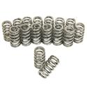 Click here for more information about Trick Flow Specialties TFS-16125-16 - Trick Flow® by PAC Racing Beehive Valve Springs