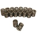Click here for more information about Trick Flow Specialties TFS-16838-16 - Trick Flow® by PAC Racing Dual Valve Springs Click here for more information about Trick Flow Specialties TFS-16838-16 - Trick Flow® by PAC Racing Dual Valve Springs