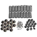 Click here for more information about Trick Flow Specialties TFS-2500500 - Trick Flow® Valve Spring Upgrade Kits for Ford 4.6L/5.4L 2V Engines