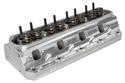 Click here for more information about Trick Flow Specialties TFS-51410004-M61 - Trick Flow® Twisted Wedge® 170 Cylinder Heads for Small Block Ford