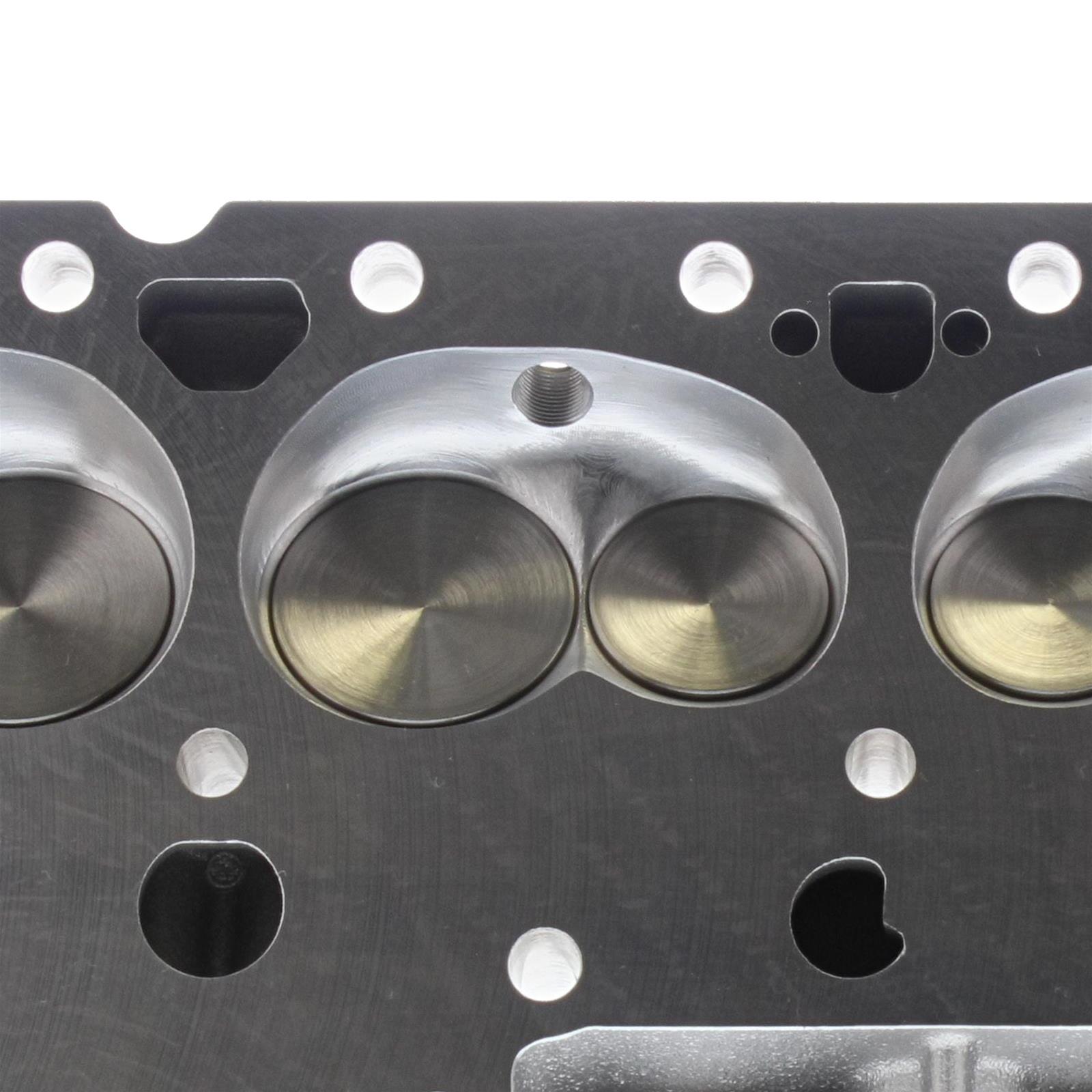 Trick Flow Specialties TFS30210002 Trick Flow® DHC™ 175 Cylinder Heads