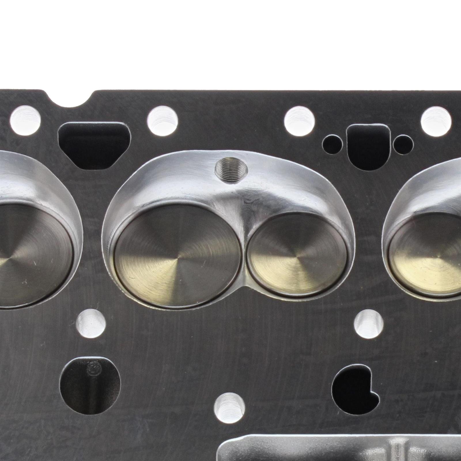 Trick Flow Specialties Tfs Trick Flow Dhc Cylinder Heads For Small Block